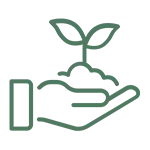 Plantation & Regeneration